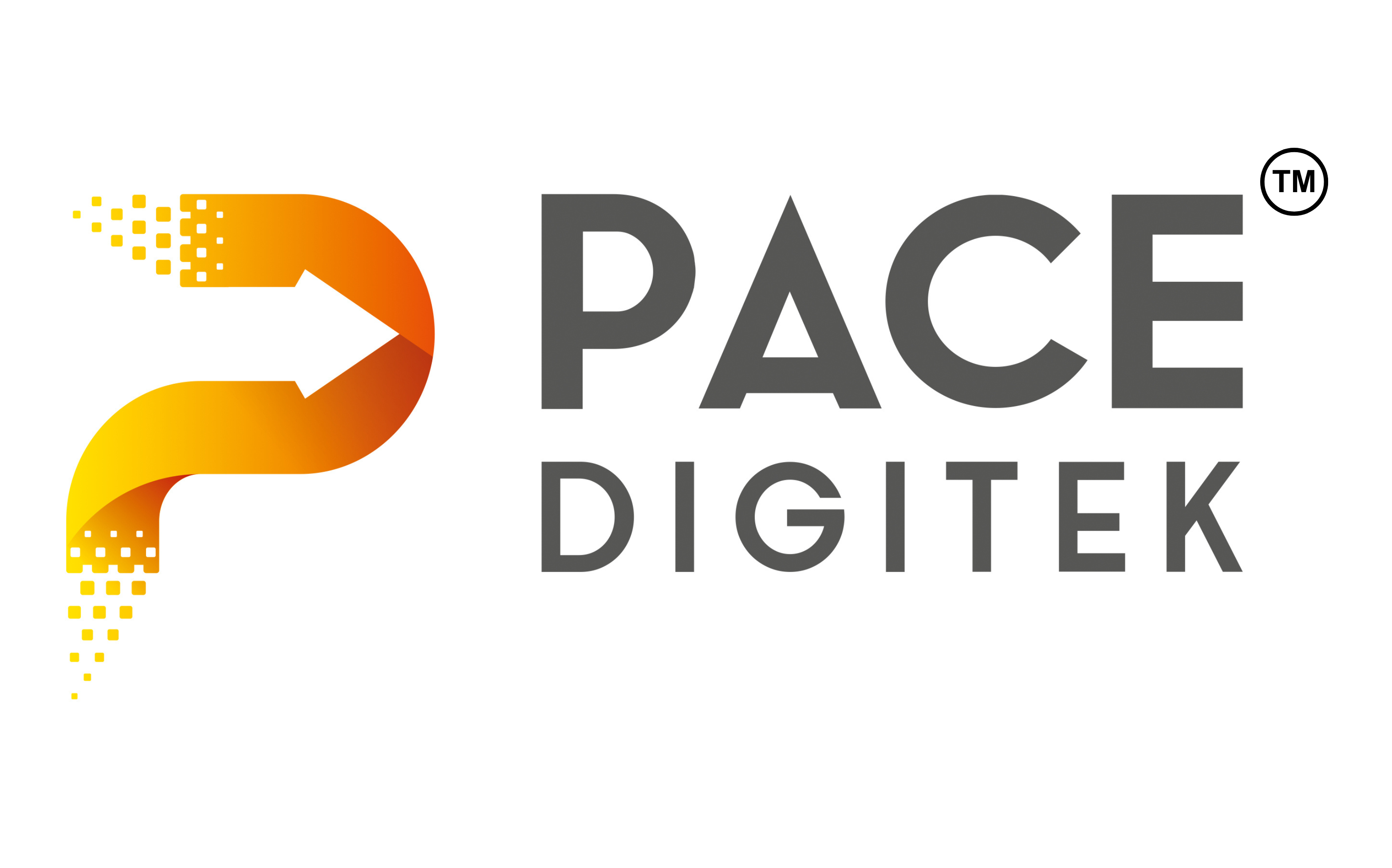 Pace Digitek Ltd logo